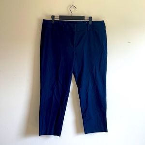 Ann Taylor LOFT Marisa The Riviera Pants